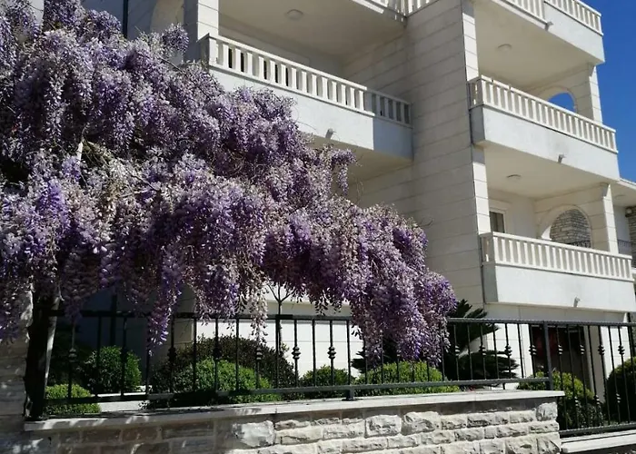 Apartments Amor *