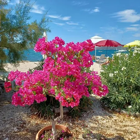 Apartments Amor 아파트